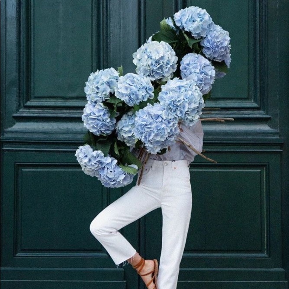 🌺🌺🌺🌺 Bloom With Grace 🌺🌺🌺